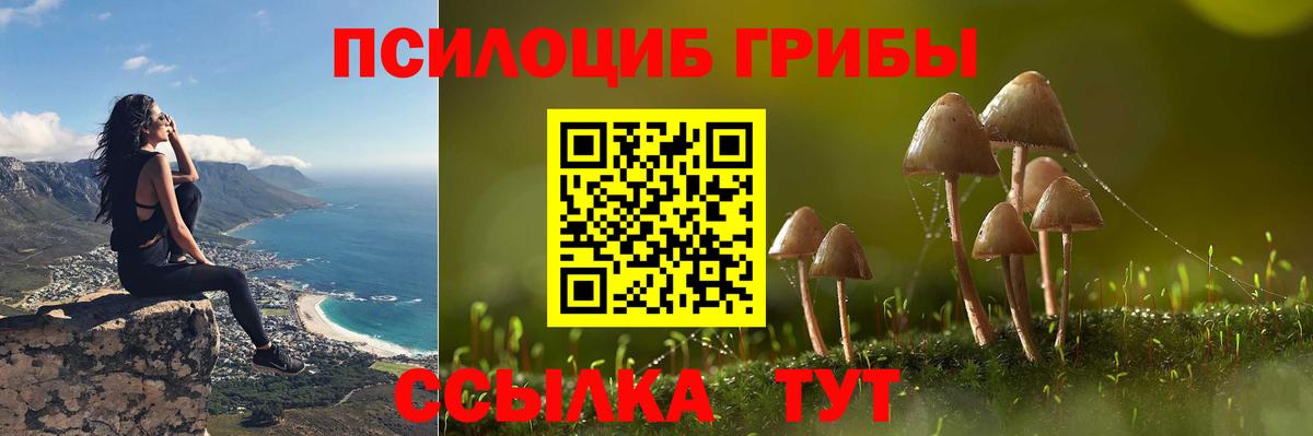 Галлюциногенные грибы Magic Shrooms Краснокамск